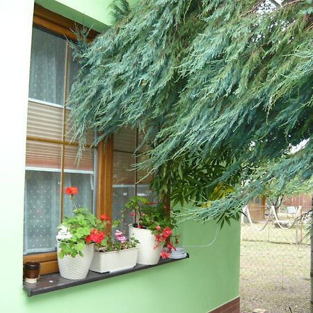 Apartments - Penzion Lena Hradec Králové Exterior foto